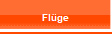 Fl�ge